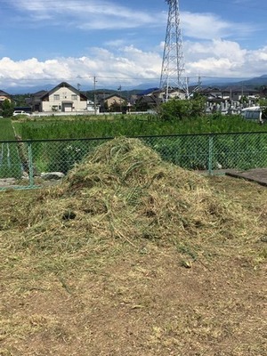 富山県で草刈り、土地の整備、庭仕事や木の伐採なら県内全域即日対応の便利屋お助け本舗富山一番町店