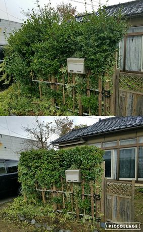 富山県で庭木の剪定、伐採、処分、庭仕事全般のお手つだいが必要なら県内全域即日対応の便利屋お助け本舗富山一番町店