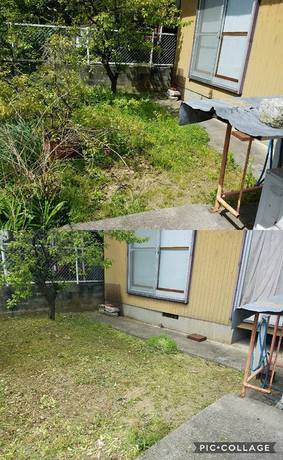 富山県で草刈りや庭木の伐採、剪定、処分、庭仕事全般にお困りなら県内全域即日対応の便利屋お助け本舗富山一番町店