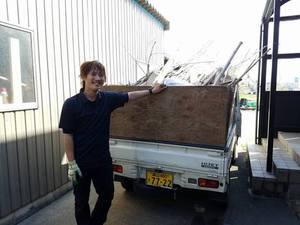 富山県で草刈りや庭木の伐採、処分、庭仕事全般にお困りなら県内全域即日対応の便利屋お助け本舗富山一番町店