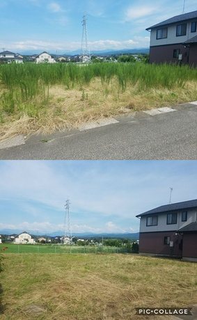 富山県で庭木の剪定や伐採、処分、草むしりなど庭仕事にお困りなら県内全域即日対応の便利屋お助け本舗富山一番町店