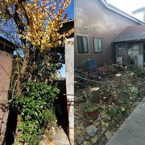 富山県で庭木の伐採や処分、庭仕事全般にお困りなら県内全域即日対応の便利屋お助け本舗富山一番町店