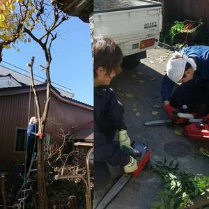 富山県で庭木の伐採や処分、庭仕事全般にお困りなら県内全域即日対応の便利屋お助け本舗富山一番町店