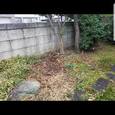 【富山県の庭石処分】安心・簡単！おすすめの処分方法と注意点