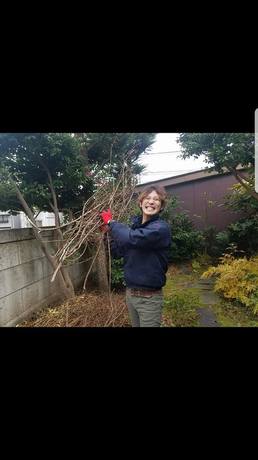 富山県で庭木の剪定や枝処分、伐採や落ち葉広いなど、庭仕事のお手伝いなら県内全域即日対応の便利屋お助け本舗富山一番町店