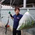富山市で割れ物を安全に処分する方法 - 地域住民のためのガイド